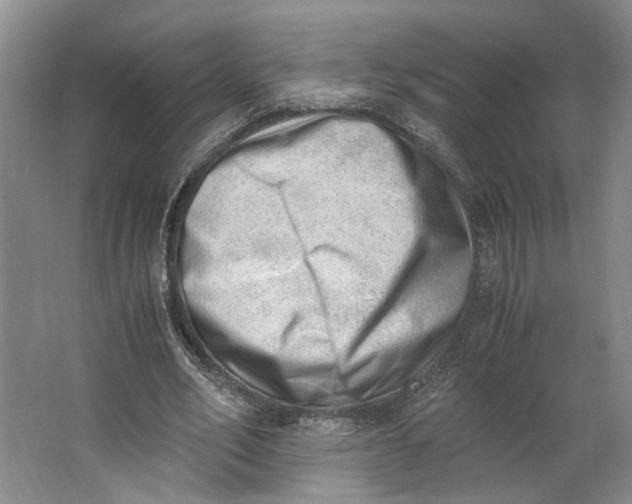 X0000062870582200601271558