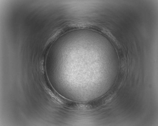 X0000062870585200601271558