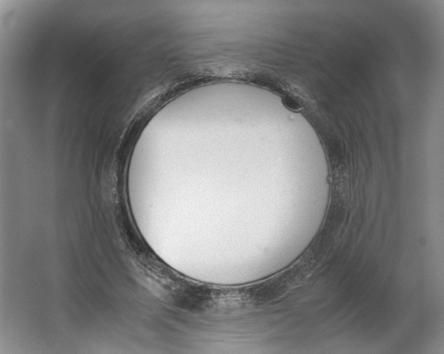 X0000062870587200601271558