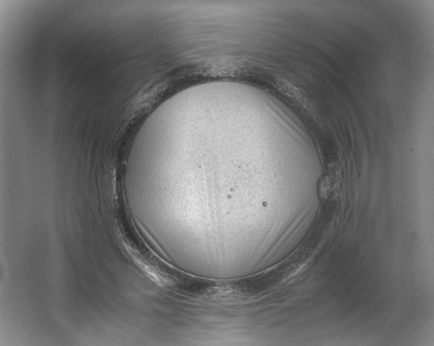 X0000062870589200601271558