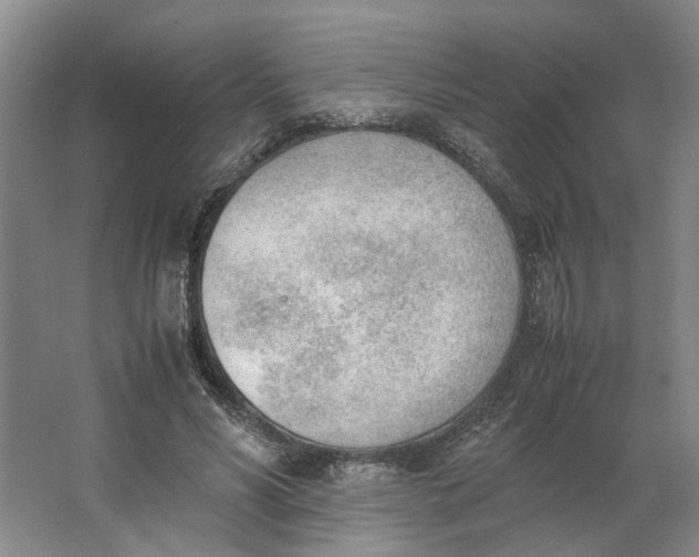 X0000062870590200601271558