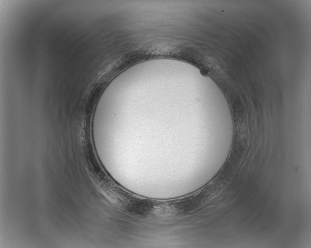 X0000062870591200601271558