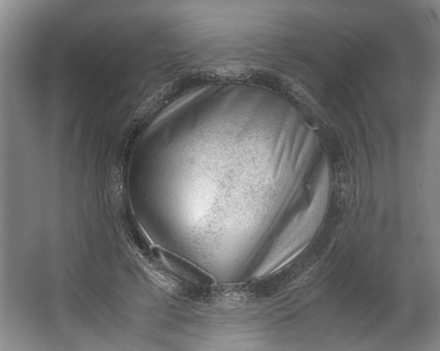 X0000062870593200601271558