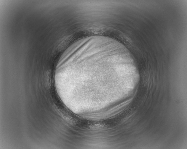 X0000062870594200601271558