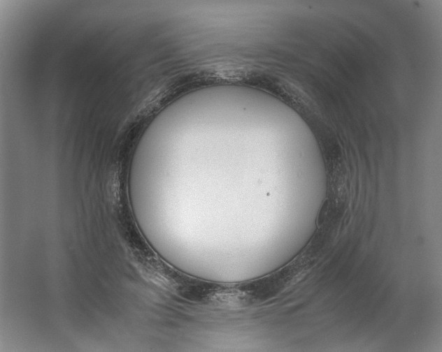 X0000062870595200601271558