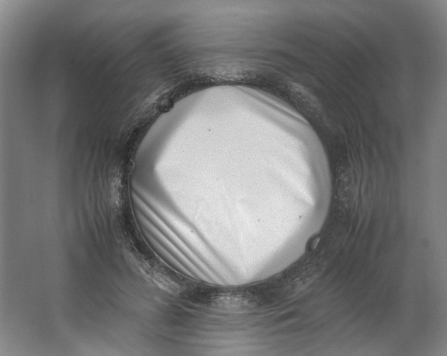 X0000062870596200601271558