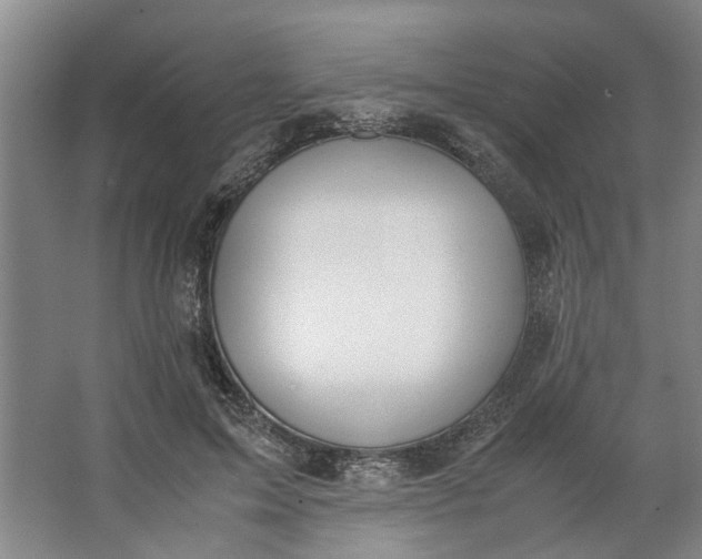 X0000062870599200601271558