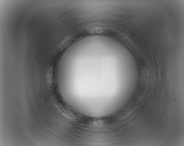 X0000062870600200601271558