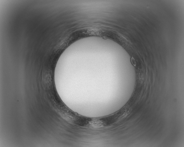 X0000062870603200601271558