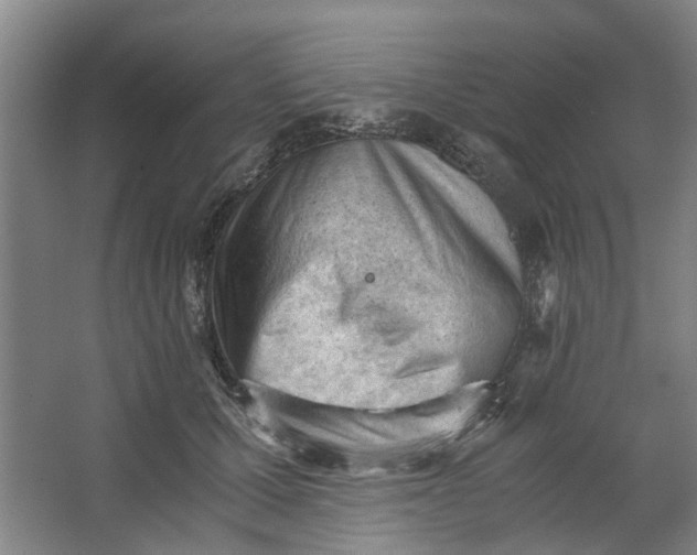 X0000062870607200601271558