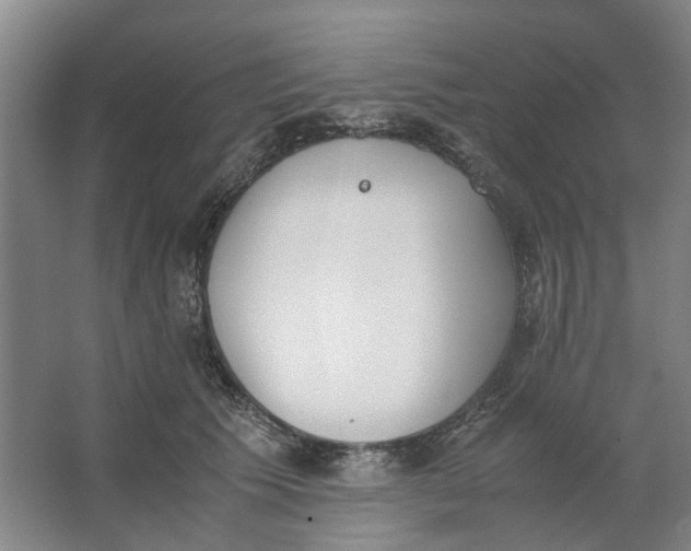 X0000062870609200601271557