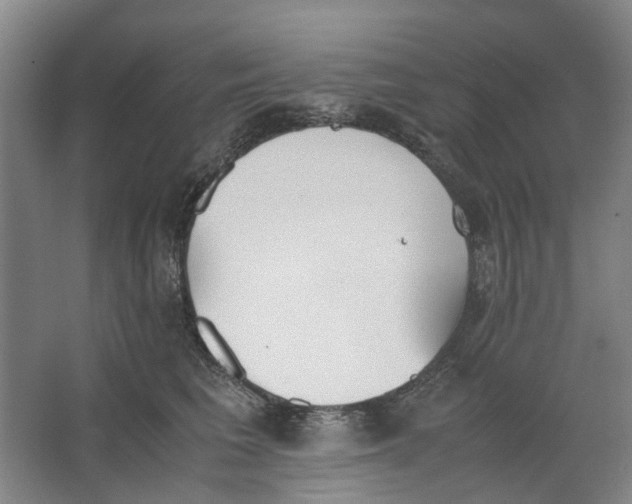 X0000062870613200601271557