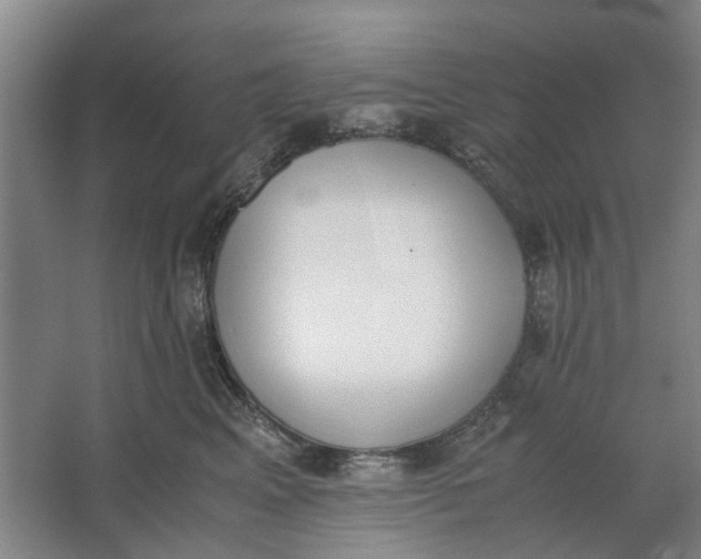 X0000062870617200601271557