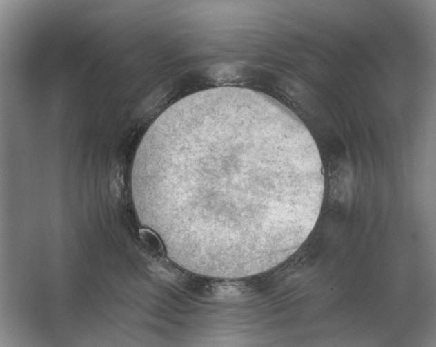 X0000062870618200601271557