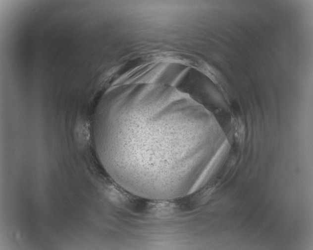 X0000062870621200601271557