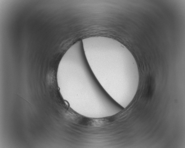 X0000062870623200601271557