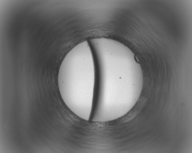 X0000062870624200601271557