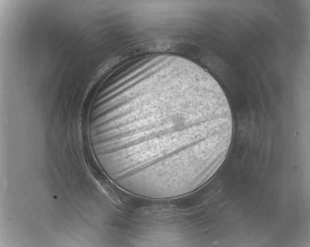 X0000062870626200601271556