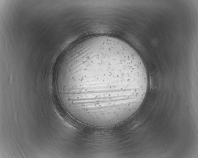 X0000062870627200601271556