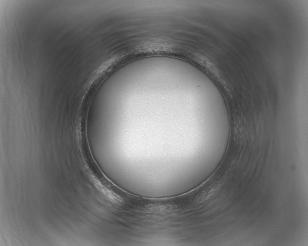 X0000062870629200601271556