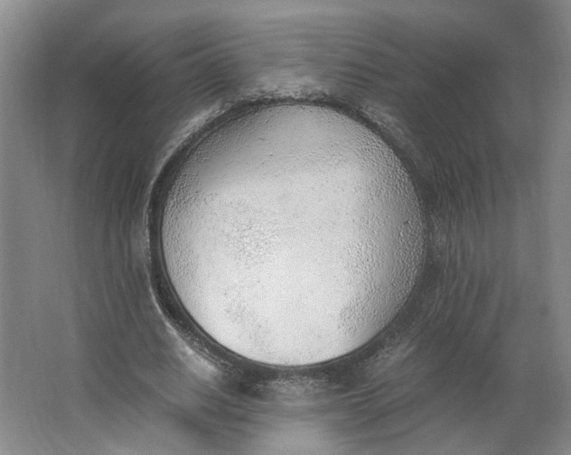 X0000062870630200601271557