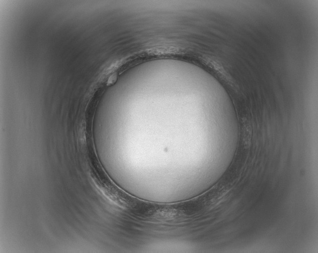 X0000062870631200601271557