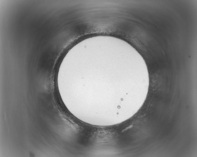 X0000062870632200601271557