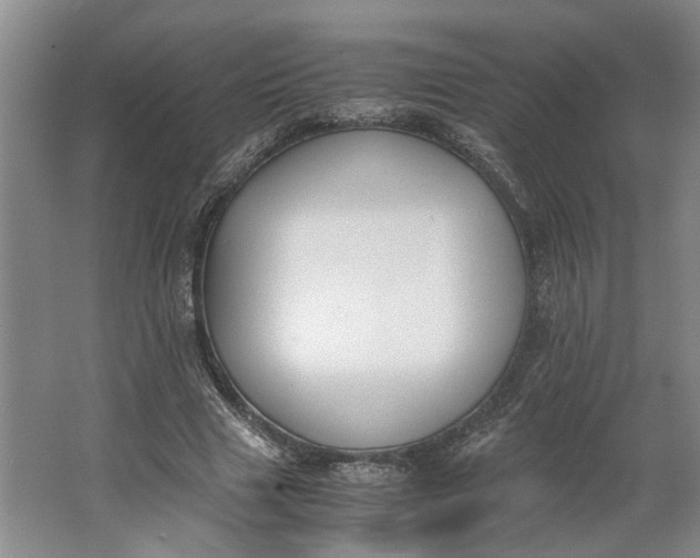 X0000062870633200601271557