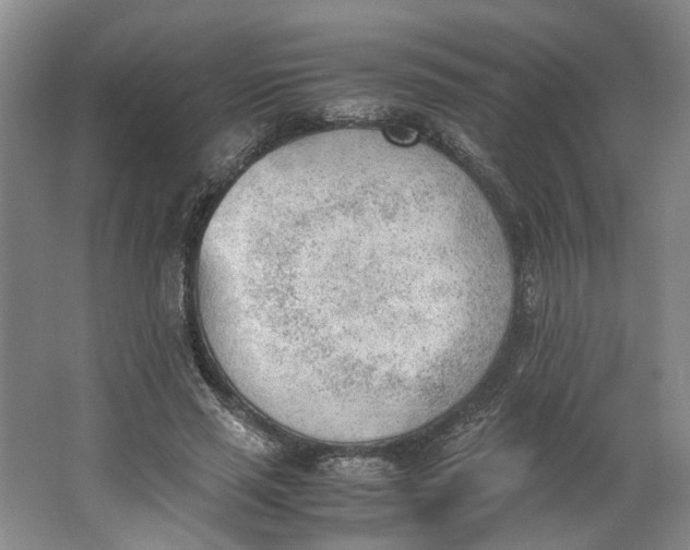 X0000062870637200601271557