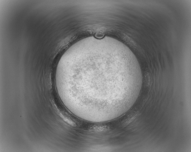 X0000062870638200601271557