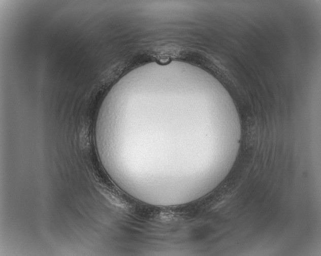 X0000062870641200601271557