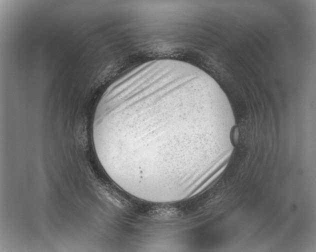 X0000062870642200601271557