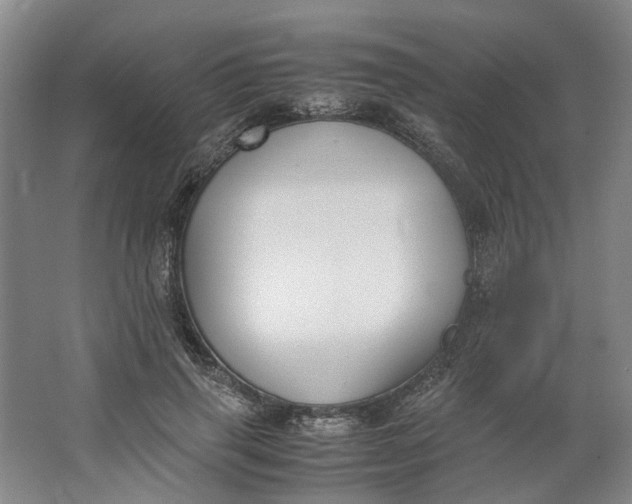 X0000062870645200601271557