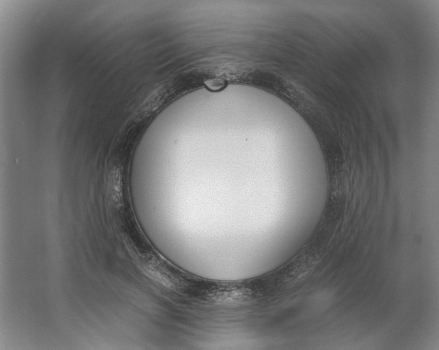 X0000062870646200601271557