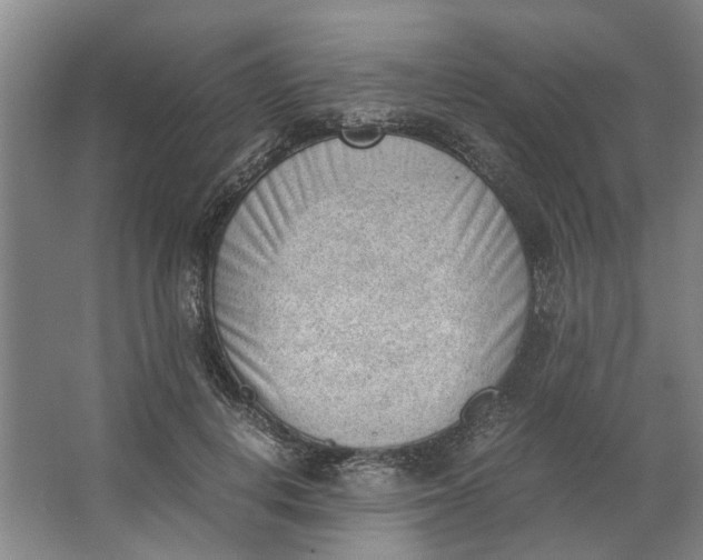 X0000062870648200601271557