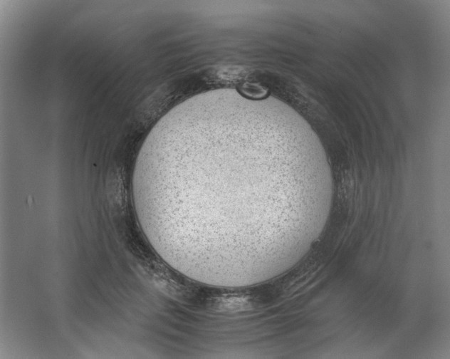 X0000062870651200601271557