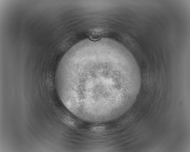 X0000062870653200601271557