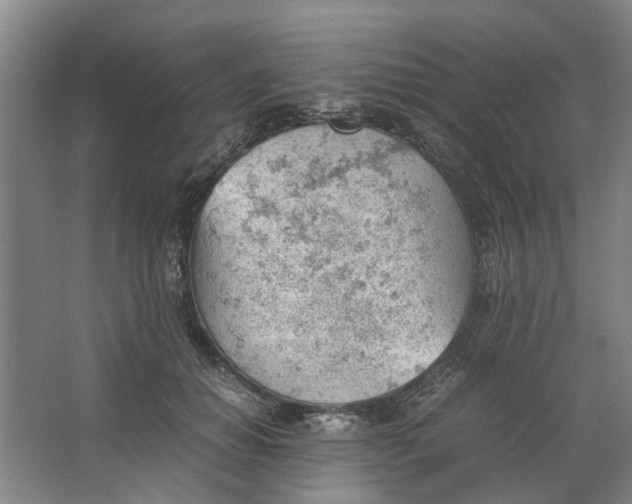 X0000062870654200601271557