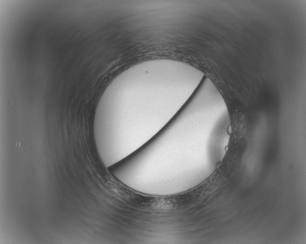 X0000062870656200601271557