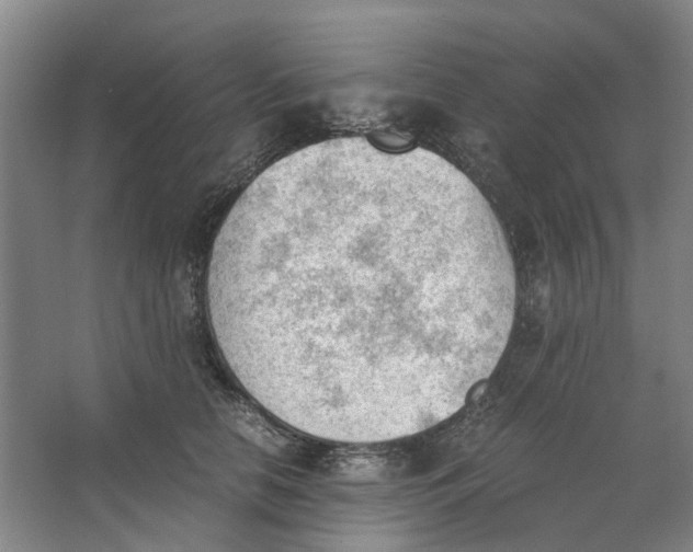 X0000062870658200601271557