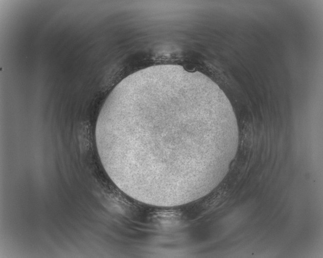 X0000062870659200601271557