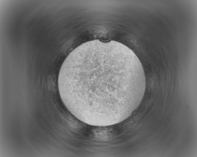 X0000062870661200601271557