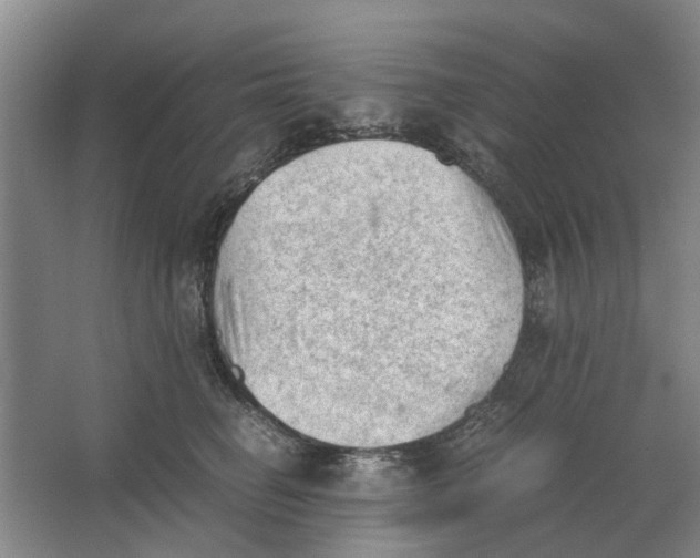 X0000062870662200601271557