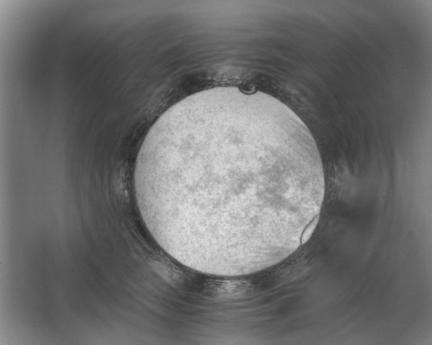 X0000062870663200601271557