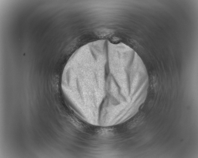 X0000062870664200601271557