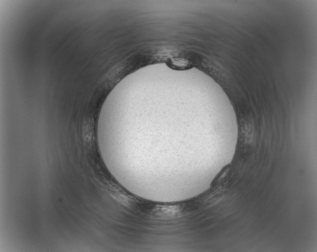 X0000062870665200601271557