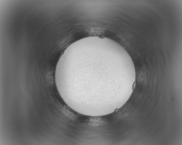 X0000062870666200601271557