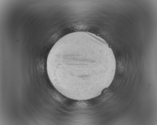 X0000062870668200601271557