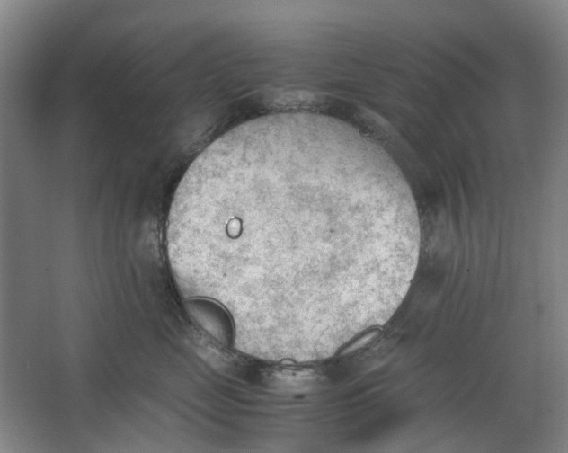 X0000062870669200601271557