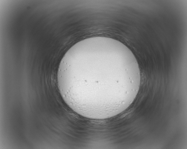 X0000062870671200601271557